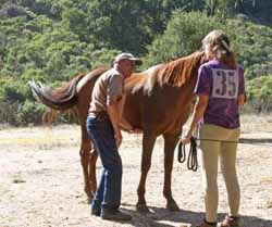 Photo by Donna Stidolph