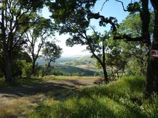 View from the Driveway