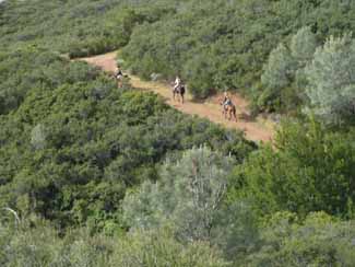 It was ALL Uphill or Downhill!  CP Riders in Front of Us