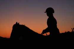 Photo by Donna Stidolph