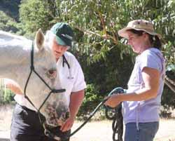 Photo by Donna Stidolph