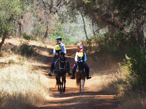 Cool Canyon LeD Ride