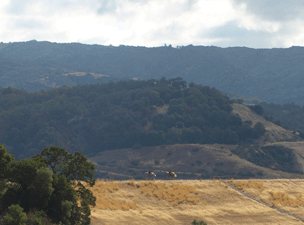 Lake Mendocino Photo